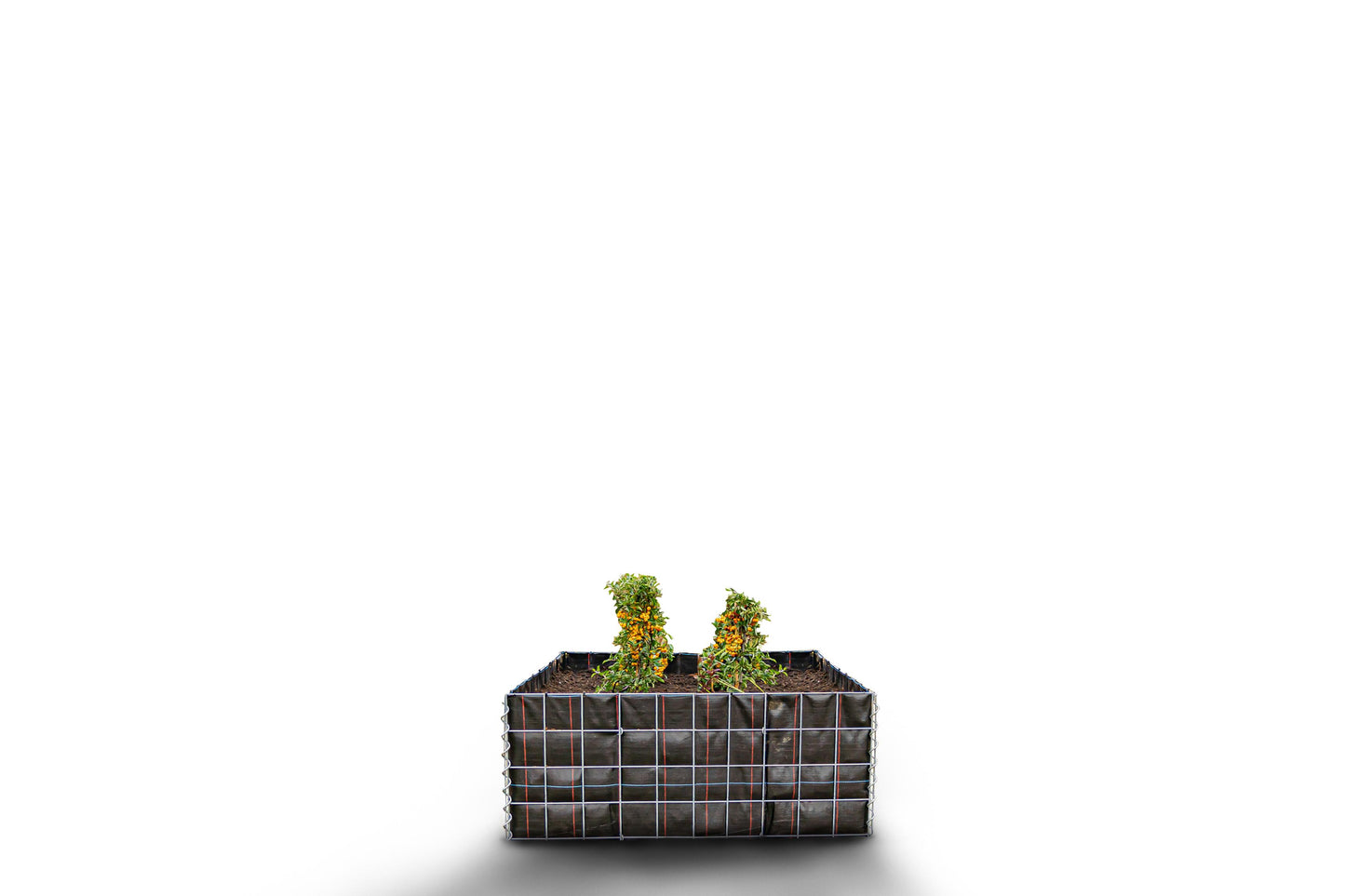 Rechthoekig verhoogd bed zonder stenen - Lengte: 100 cm - Hoogte: 40 cm - Diepte: 40 cm - Maaswijdte: 10 x 10 cm