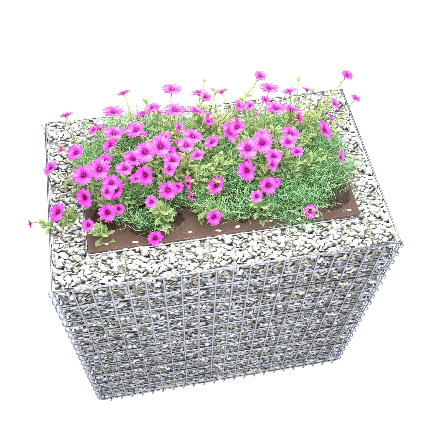 Højbed firkantet 100 cm x 100 cm x 60 cm (L x H x D), maskestørrelse 5 x 10 cm, vægtykkelse 10 cm