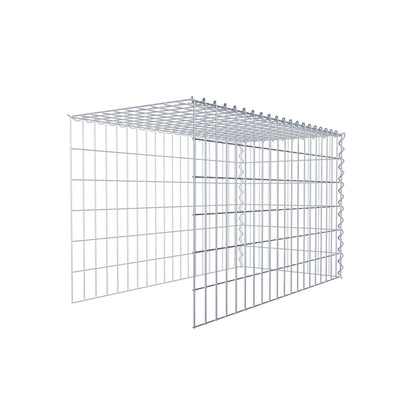 Grown-on gabion type 4 100 cm x 60 cm x 50 cm (L x H x D), mesh size 5 cm x 10 cm, spiral
