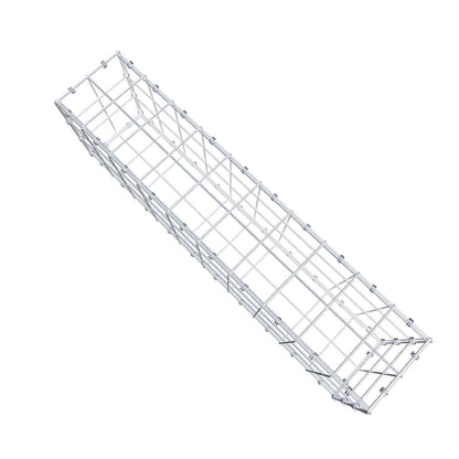 Gabione 100 cm x 30 cm x 20 cm (L x H x T), Maschenweite 10 x 10 cm, Spiralring