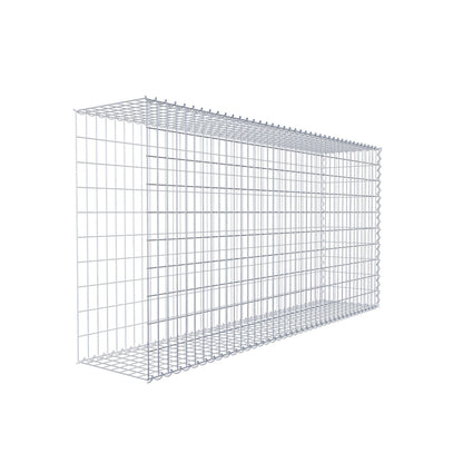 Opvokset gabion type 2 200 cm x 100 cm x 40 cm (L x H x D), maskestørrelse 5 cm x 10 cm, spiral
