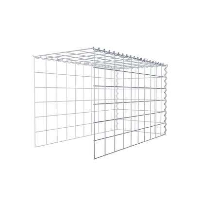 Grown-on gabion type 4 100 cm x 60 cm x 50 cm (L x H x D), mesh size 10 cm x 10 cm, spiral
