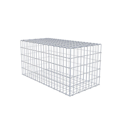 Gabbione 100 cm x 50 cm x 50 cm (L x H x P), maglia 5 x 10 cm, anello a spirale