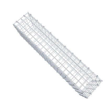 Gabbione 100 cm x 30 cm x 20 cm (L x H x P), maglia 5 x 5 cm, anello a spirale
